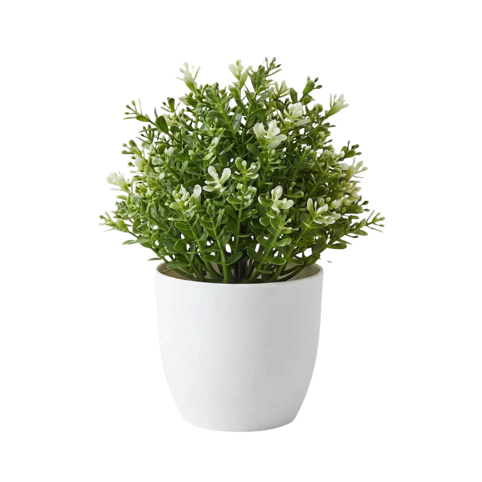 Kamanvases Small Artificial Green Plant