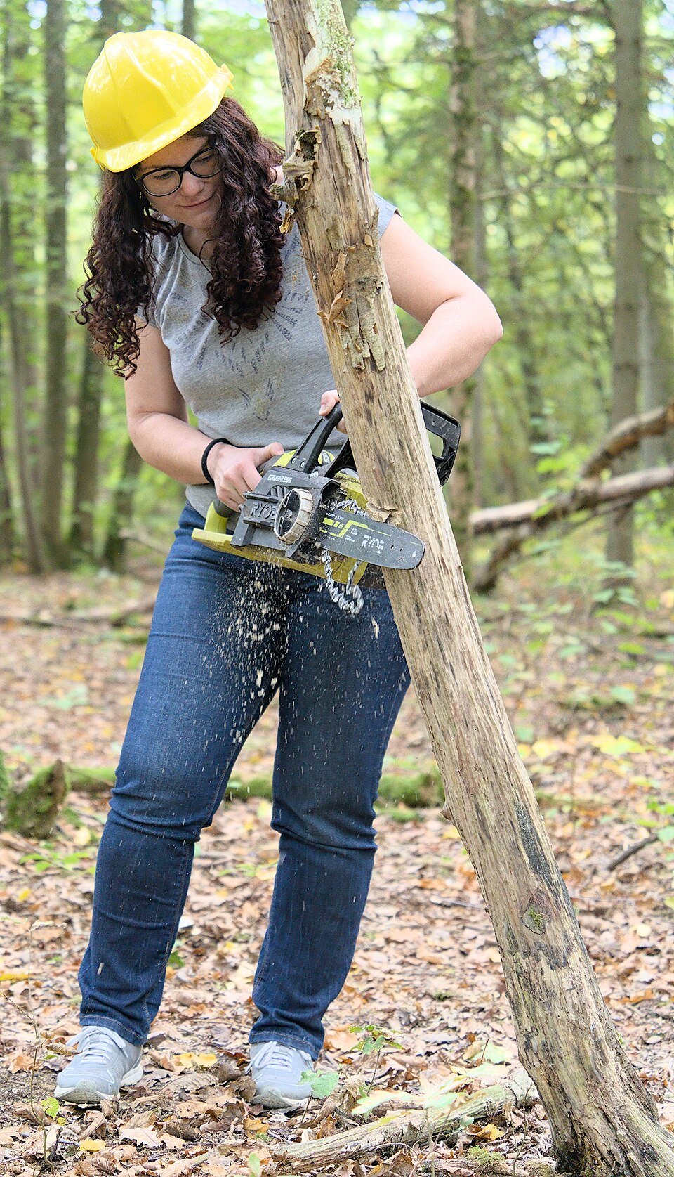 Chainsaws